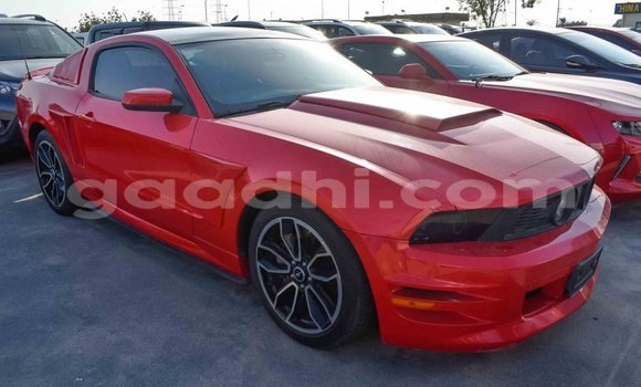 Imported Ford Mustang Red Makiinaa iti Import - Dubai keessatti Somalia keessatti Imported Ford Mustang Red Makiinaa iti Import - Dubai keessatti Somalia keessatti