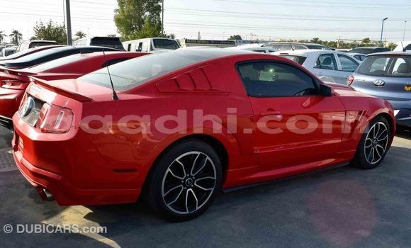 Imported Ford Mustang Red Makiinaa iti Import - Dubai keessatti Somalia keessatti Imported Ford Mustang Red Makiinaa iti Import - Dubai keessatti Somalia keessatti