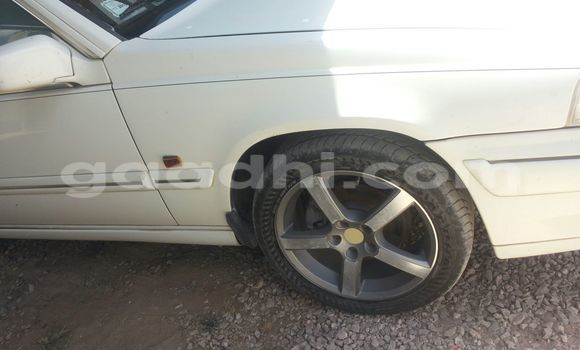 ይግዙ ያገለገለ Lancia Thesis ነጭ መኪና በ ሞቃዲሾ በ ሶማሊያ ይግዙ ያገለገለ Lancia Thesis ነጭ መኪና በ ሞቃዲሾ በ ሶማሊያ