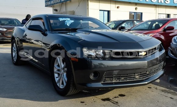 Buy Import Chevrolet Camaro Other Car in Import - Dubai in Somalia