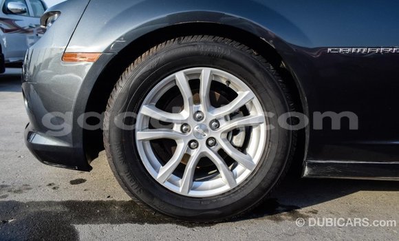 Imported Chevrolet Camaro Other Makiinaa iti Import - Dubai keessatti Somalia keessatti Imported Chevrolet Camaro Other Makiinaa iti Import - Dubai keessatti Somalia keessatti