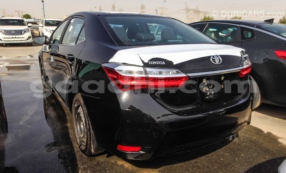 Imported Toyota Corolla Black Makiinaa iti Import - Dubai keessatti Somalia keessatti Imported Toyota Corolla Black Makiinaa iti Import - Dubai keessatti Somalia keessatti