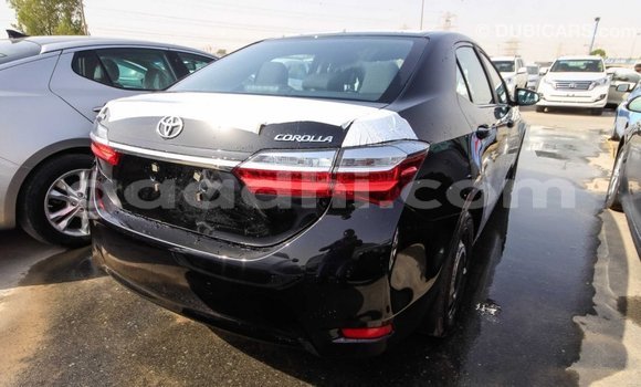 Imported Toyota Corolla Black Makiinaa iti Import - Dubai keessatti Somalia keessatti Imported Toyota Corolla Black Makiinaa iti Import - Dubai keessatti Somalia keessatti