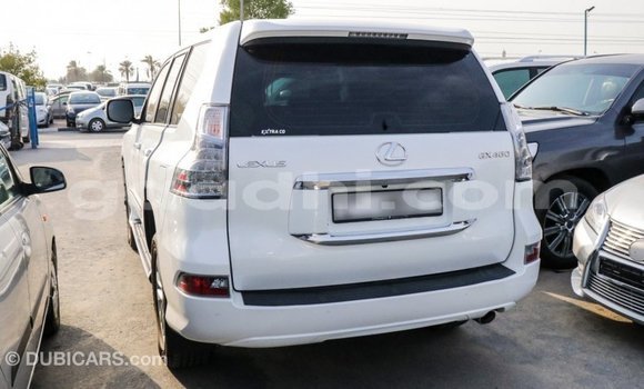 Imported Lexus GX White Makiinaa iti Import - Dubai keessatti Somalia keessatti Imported Lexus GX White Makiinaa iti Import - Dubai keessatti Somalia keessatti