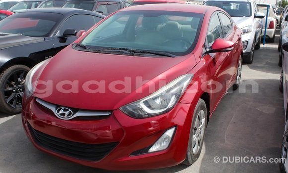 Acheter Import Voiture Hyundai Elantra Rouge à Import - Dubai, Somalie Acheter Import Voiture Hyundai Elantra Rouge à Import - Dubai, Somalie
