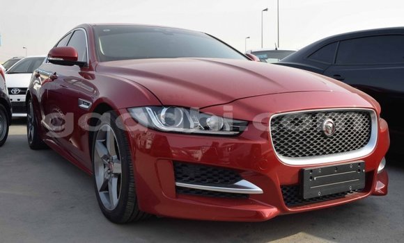Buy Import Jaguar XE Red Car in Import - Dubai in Somalia