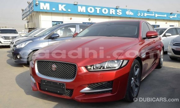 Acheter Import Voiture Jaguar XE Rouge à Import - Dubai, Somalie Acheter Import Voiture Jaguar XE Rouge à Import - Dubai, Somalie