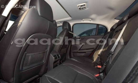 Acheter Import Voiture Jaguar XE Rouge à Import - Dubai, Somalie Acheter Import Voiture Jaguar XE Rouge à Import - Dubai, Somalie