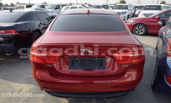 Acheter Import Voiture Jaguar XE Rouge à Import - Dubai, Somalie Acheter Import Voiture Jaguar XE Rouge à Import - Dubai, Somalie