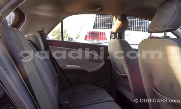 Imported Kia Picanto Black Makiinaa iti Import - Dubai keessatti Somalia keessatti Imported Kia Picanto Black Makiinaa iti Import - Dubai keessatti Somalia keessatti