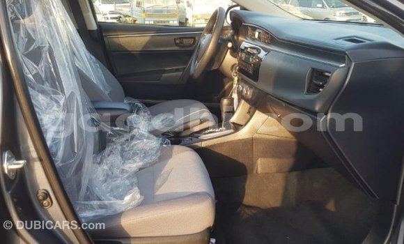 اشتري Imported Toyota Corolla آخر سيارة في Import - Dubai في الصومال اشتري Imported Toyota Corolla آخر سيارة في Import - Dubai في الصومال