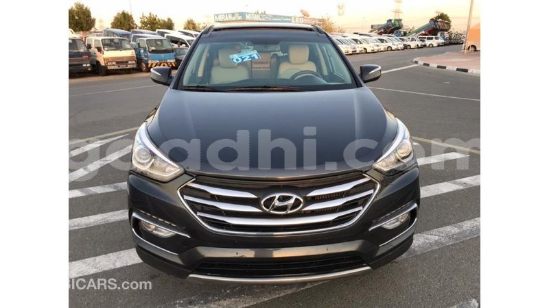 Big with watermark hyundai santa fe somalia import dubai 3008