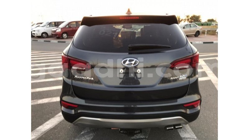 Big with watermark hyundai santa fe somalia import dubai 3008