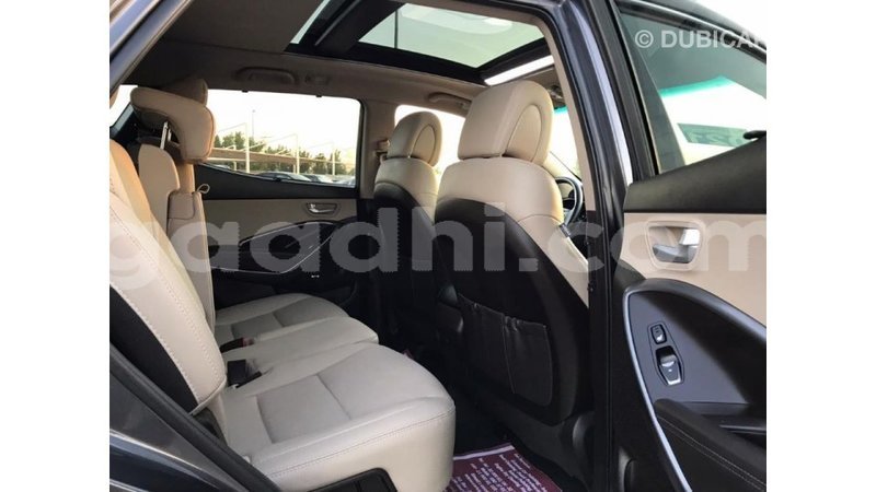 Big with watermark hyundai santa fe somalia import dubai 3008