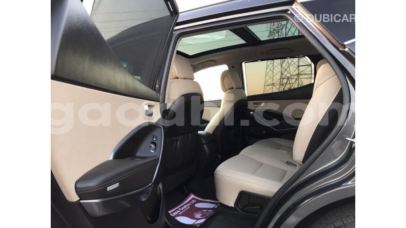 Big with watermark hyundai santa fe somalia import dubai 3008