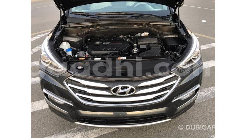 Big with watermark hyundai santa fe somalia import dubai 3008