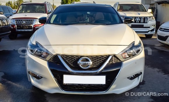 Imported Nissan Maxima White Makiinaa iti Import - Dubai keessatti Somalia keessatti Imported Nissan Maxima White Makiinaa iti Import - Dubai keessatti Somalia keessatti