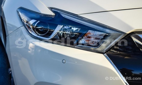 Imported Nissan Maxima White Makiinaa iti Import - Dubai keessatti Somalia keessatti Imported Nissan Maxima White Makiinaa iti Import - Dubai keessatti Somalia keessatti
