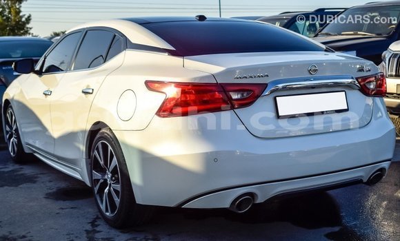 Imported Nissan Maxima White Makiinaa iti Import - Dubai keessatti Somalia keessatti Imported Nissan Maxima White Makiinaa iti Import - Dubai keessatti Somalia keessatti