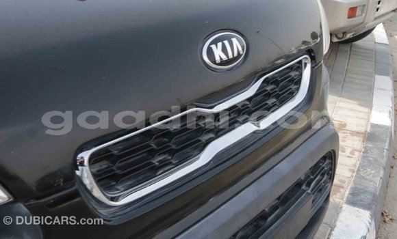 Buy Import Kia Soul Black Car in Import - Dubai in Somalia Buy Import Kia Soul Black Car in Import - Dubai in Somalia