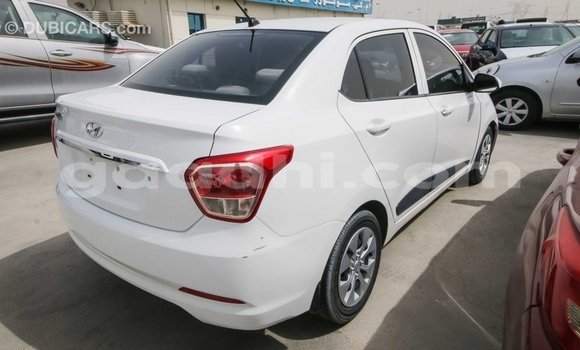 Imported Hyundai i10 White Makiinaa iti Import - Dubai keessatti Somalia keessatti Imported Hyundai i10 White Makiinaa iti Import - Dubai keessatti Somalia keessatti