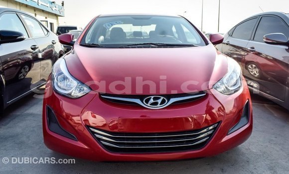 Buy Import Hyundai Elantra Red Car in Import - Dubai in Somalia Buy Import Hyundai Elantra Red Car in Import - Dubai in Somalia