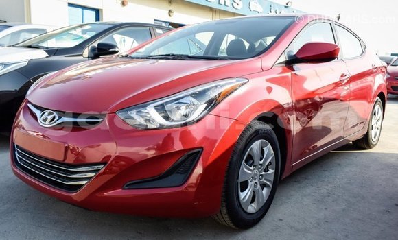 Buy Import Hyundai Elantra Red Car in Import - Dubai in Somalia Buy Import Hyundai Elantra Red Car in Import - Dubai in Somalia