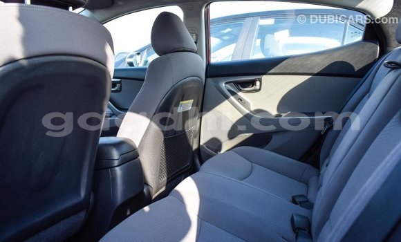 Buy Import Hyundai Elantra Red Car in Import - Dubai in Somalia Buy Import Hyundai Elantra Red Car in Import - Dubai in Somalia