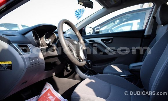 Buy Import Hyundai Elantra Red Car in Import - Dubai in Somalia Buy Import Hyundai Elantra Red Car in Import - Dubai in Somalia