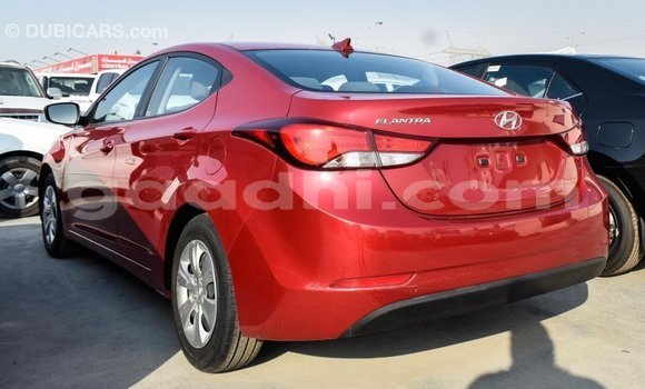 Buy Import Hyundai Elantra Red Car in Import - Dubai in Somalia Buy Import Hyundai Elantra Red Car in Import - Dubai in Somalia