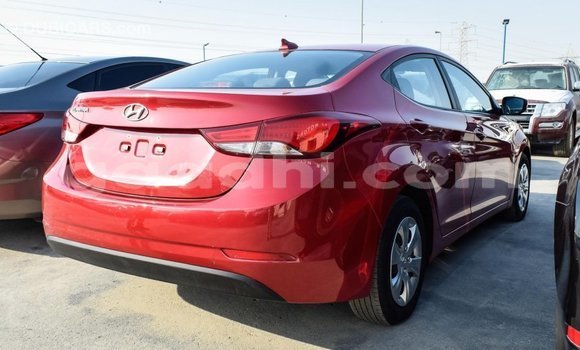 Buy Import Hyundai Elantra Red Car in Import - Dubai in Somalia Buy Import Hyundai Elantra Red Car in Import - Dubai in Somalia