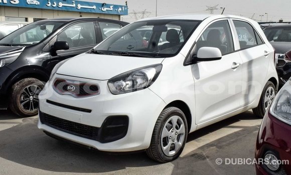 Imported Kia Picanto White Makiinaa iti Import - Dubai keessatti Somalia keessatti Imported Kia Picanto White Makiinaa iti Import - Dubai keessatti Somalia keessatti