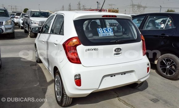 Imported Kia Picanto White Makiinaa iti Import - Dubai keessatti Somalia keessatti Imported Kia Picanto White Makiinaa iti Import - Dubai keessatti Somalia keessatti