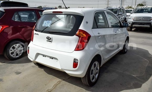 Imported Kia Picanto White Makiinaa iti Import - Dubai keessatti Somalia keessatti Imported Kia Picanto White Makiinaa iti Import - Dubai keessatti Somalia keessatti