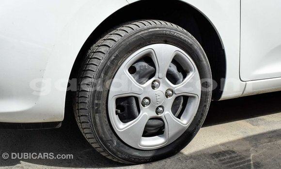 Imported Kia Picanto White Makiinaa iti Import - Dubai keessatti Somalia keessatti Imported Kia Picanto White Makiinaa iti Import - Dubai keessatti Somalia keessatti