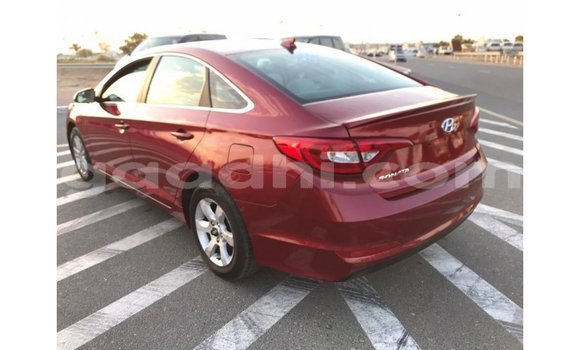 Buy Import Hyundai Sonata Red Car in Import - Dubai in Somalia Buy Import Hyundai Sonata Red Car in Import - Dubai in Somalia