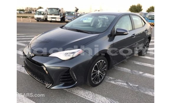 ይግዙ Imported Toyota Corolla ሌላ መኪና በ Import - Dubai በ ሶማሊያ ይግዙ Imported Toyota Corolla ሌላ መኪና በ Import - Dubai በ ሶማሊያ