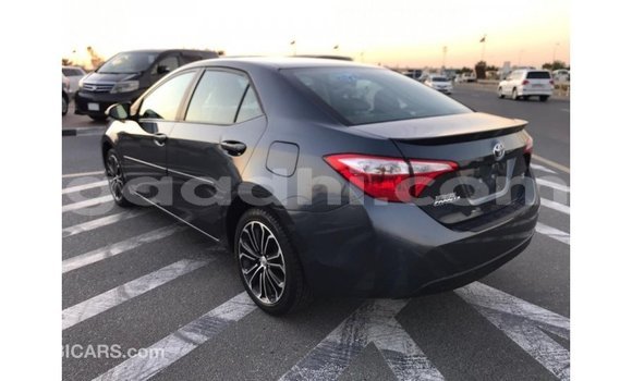 ይግዙ Imported Toyota Corolla ሌላ መኪና በ Import - Dubai በ ሶማሊያ ይግዙ Imported Toyota Corolla ሌላ መኪና በ Import - Dubai በ ሶማሊያ