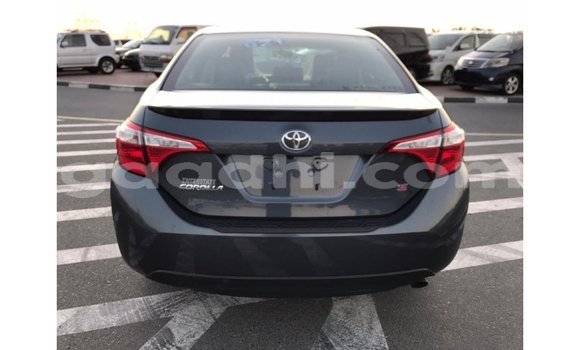 ይግዙ Imported Toyota Corolla ሌላ መኪና በ Import - Dubai በ ሶማሊያ ይግዙ Imported Toyota Corolla ሌላ መኪና በ Import - Dubai በ ሶማሊያ