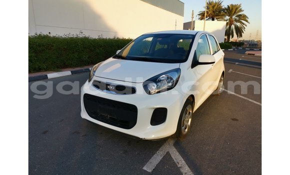 Nunua Imported Kia Picanto Nyeupe Gari ndani ya Import - Dubai nchini Somalia Nunua Imported Kia Picanto Nyeupe Gari ndani ya Import - Dubai nchini Somalia