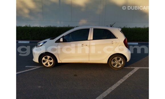 Nunua Imported Kia Picanto Nyeupe Gari ndani ya Import - Dubai nchini Somalia Nunua Imported Kia Picanto Nyeupe Gari ndani ya Import - Dubai nchini Somalia