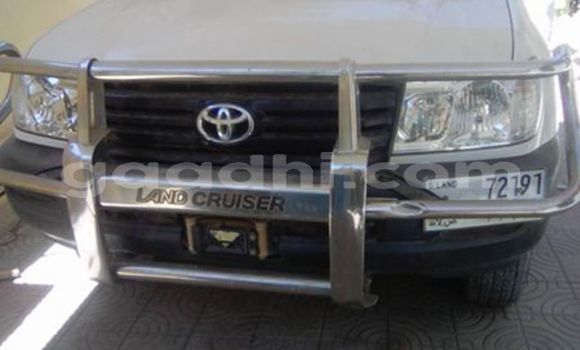 Buy Used Toyota Land Cruiser White Car in Mogadishu in Somalia Buy Used Toyota Land Cruiser White Car in Mogadishu in Somalia