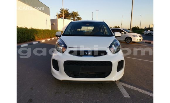 Nunua Imported Kia Picanto Nyeupe Gari ndani ya Import - Dubai nchini Somalia Nunua Imported Kia Picanto Nyeupe Gari ndani ya Import - Dubai nchini Somalia