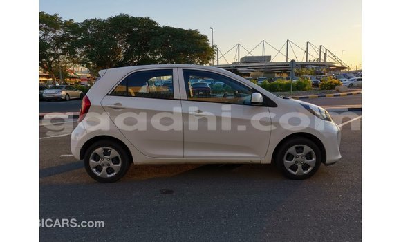 Nunua Imported Kia Picanto Nyeupe Gari ndani ya Import - Dubai nchini Somalia Nunua Imported Kia Picanto Nyeupe Gari ndani ya Import - Dubai nchini Somalia