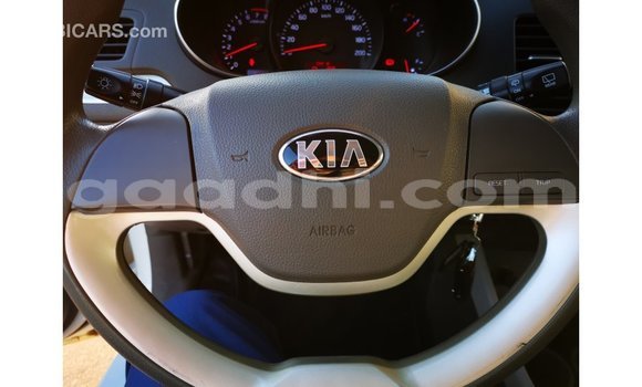 Nunua Imported Kia Picanto Nyeupe Gari ndani ya Import - Dubai nchini Somalia Nunua Imported Kia Picanto Nyeupe Gari ndani ya Import - Dubai nchini Somalia