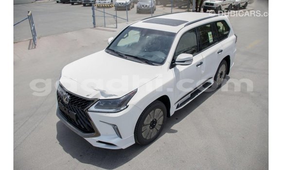 اشتري Imported Lexus LX أبيض سيارة في Import - Dubai في الصومال اشتري Imported Lexus LX أبيض سيارة في Import - Dubai في الصومال