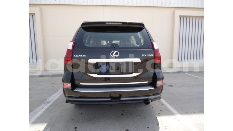 Big with watermark lexus gx somalia import dubai 3165