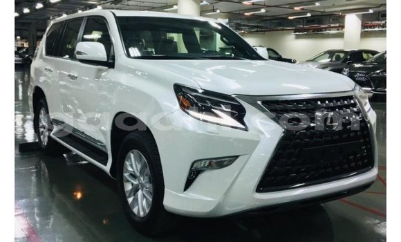 اشتري Imported Lexus GX أبيض سيارة في Import - Dubai في الصومال اشتري Imported Lexus GX أبيض سيارة في Import - Dubai في الصومال