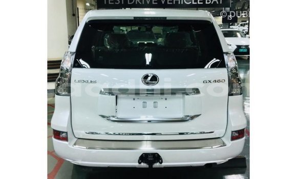 اشتري Imported Lexus GX أبيض سيارة في Import - Dubai في الصومال اشتري Imported Lexus GX أبيض سيارة في Import - Dubai في الصومال