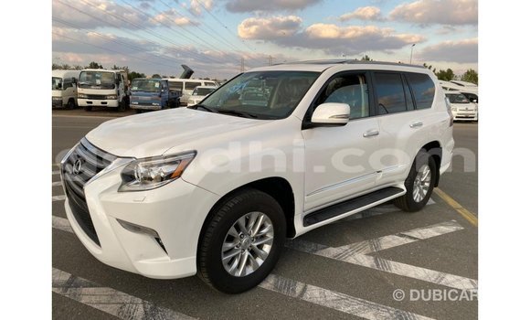 اشتري Imported Lexus GX أبيض سيارة في Import - Dubai في الصومال اشتري Imported Lexus GX أبيض سيارة في Import - Dubai في الصومال